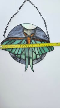 Image 5 of Luna moth night