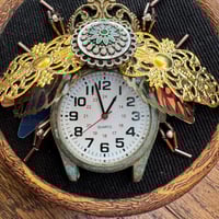 Image 3 of Watch beetle (a, 3.5 inches)