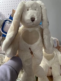 Image 5 of Bunnies - Tall Teddy Bunny