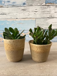 Image 2 of Set of 2 sandy planter cups.