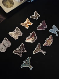 Image 3 of Butterfly | Sticker pack