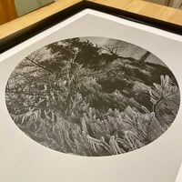 Image 4 of Summer Freeze 20" x 16" print