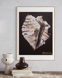 Image 3 of Conch Shell Print
