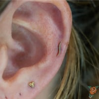 Image 4 of Wavelength