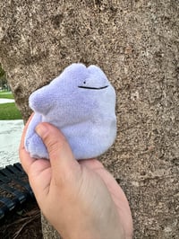 Image 3 of mini Ditto