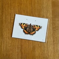 Image 2 of Butterfly Print #2 - Various Designs