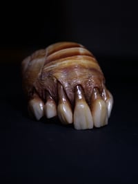 Image 5 of Dental Snull sculpture- blonde bone color, OOAK