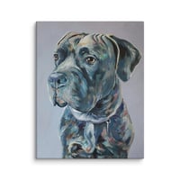 Image 2 of Sweet Mastiff