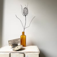 Image 1 of Teasel wire sculpture 