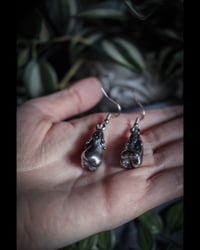 Image 4 of Real wisdom teeth earrings