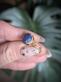 Image 2 of The Andrea