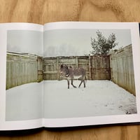 Image 3 of Matt Eich - Carry Me Ohio