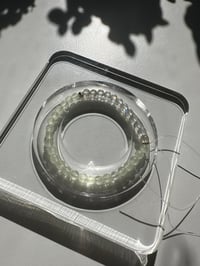 Image 3 of Prehnite labradorite bracelet  葡萄石 灰月光手链