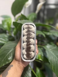 Image 1 of  🍰Mini Loaf Cakes 🍰