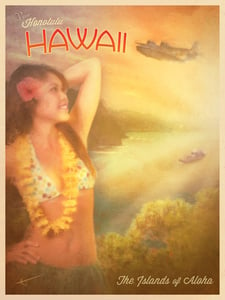 Image of The Islands of Aloha | Travel Posters