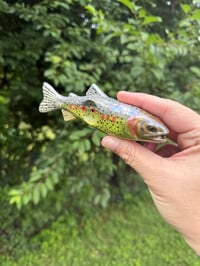 Image 3 of September PRE ORDER - Cutthroat Trout