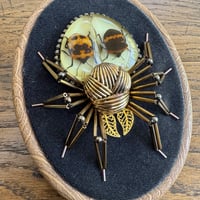 Image 3 of Specimen spider (a,  4x5 inches)