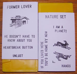 Image of Former Lover / Nature Set Split Cassette