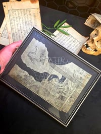 Image 2 of 1800s - Japanese collection with preserved webs. 7
