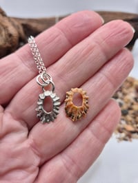 Image 3 of Tiny open limpet shell necklace
