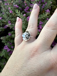 Image 2 of The Wild Rose Ring (8.5)