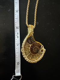 Image 2 of Ammonite (Gold)