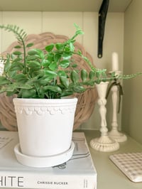 Image 2 of Simple Potted Greenery ( 3 Styles )