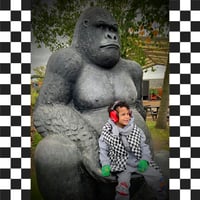 Image 3 of COAT: Checkerboard Body Warmer