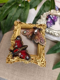 Image 5 of Magiczne ćmy 🦋✨