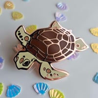 Loggerhead Turtle