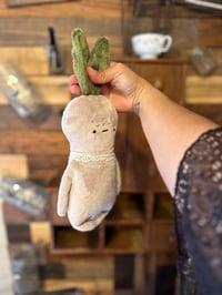 Image 3 of Manny The mandrake 