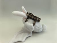 Image 2 of Backpack (Bat-Back) 