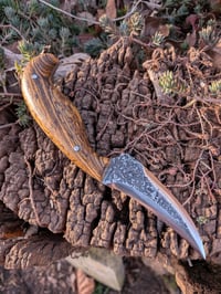 Image 1 of BOCOTE GEN2 DRAUG