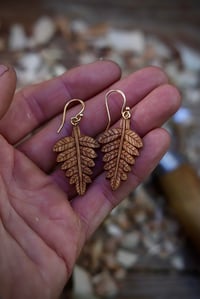Image 2 of Forest Fern leaf earrings 