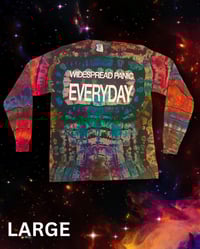 Image 3 of Widespread Panic Everyday Dyes 