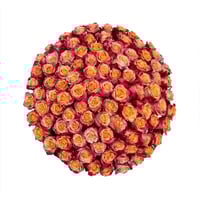 Image 1 of 100 Count Roses w/ Glass Vase