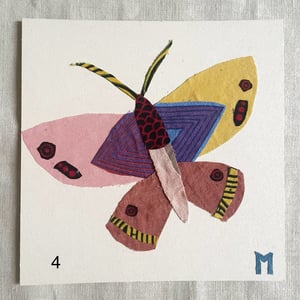 Image of square collage / insectes 