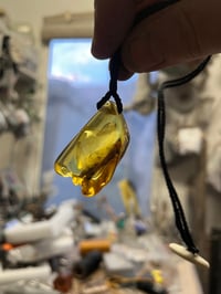 Image 4 of Fruit fly journeys in to the future, amber pendant 