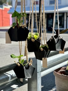 Image of leather plant hanger