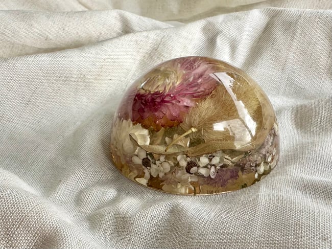 Flower Dome - Straw Flower, Bunny Tail & Natives