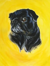 Image 3 of pet portraits starting at $200