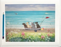 Image 1 of Wild beach tours