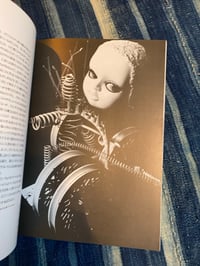 Image 13 of Grape Coloured Breasts, The Dolls of Nori Doi, 1986.