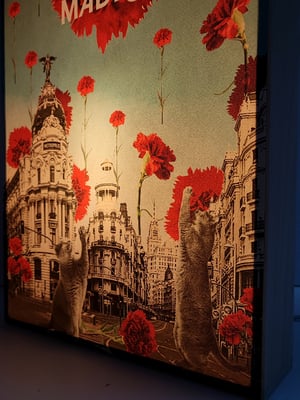 Image of Madrid, Madrid, Madrid. Lluvia de claveles.