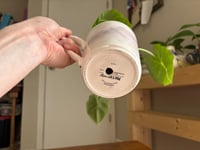 Image 3 of Alocasia 'Frydek' in Zebra Mug