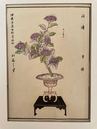 Ikebana print Hydrangea ‘Reserved’