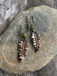 Image 4 of Fern Dangles