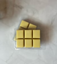 Image 2 of Summer Wax Melts