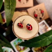 Image 2 of Kolczyki wkrętki z biedronką 🐞