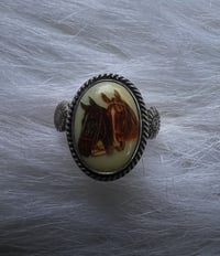 Image 3 of Rope & Ride Ring